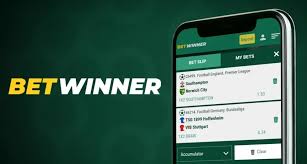Comprehensive Guide to BetWinner CI Registration Process Comprehensive Guide to BetWinner CI Registration Process